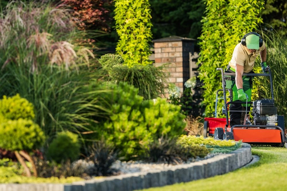 A pro running a power-aerator across a manicured lawn surrounded by ornamental grasses and lush spring landscaping.
