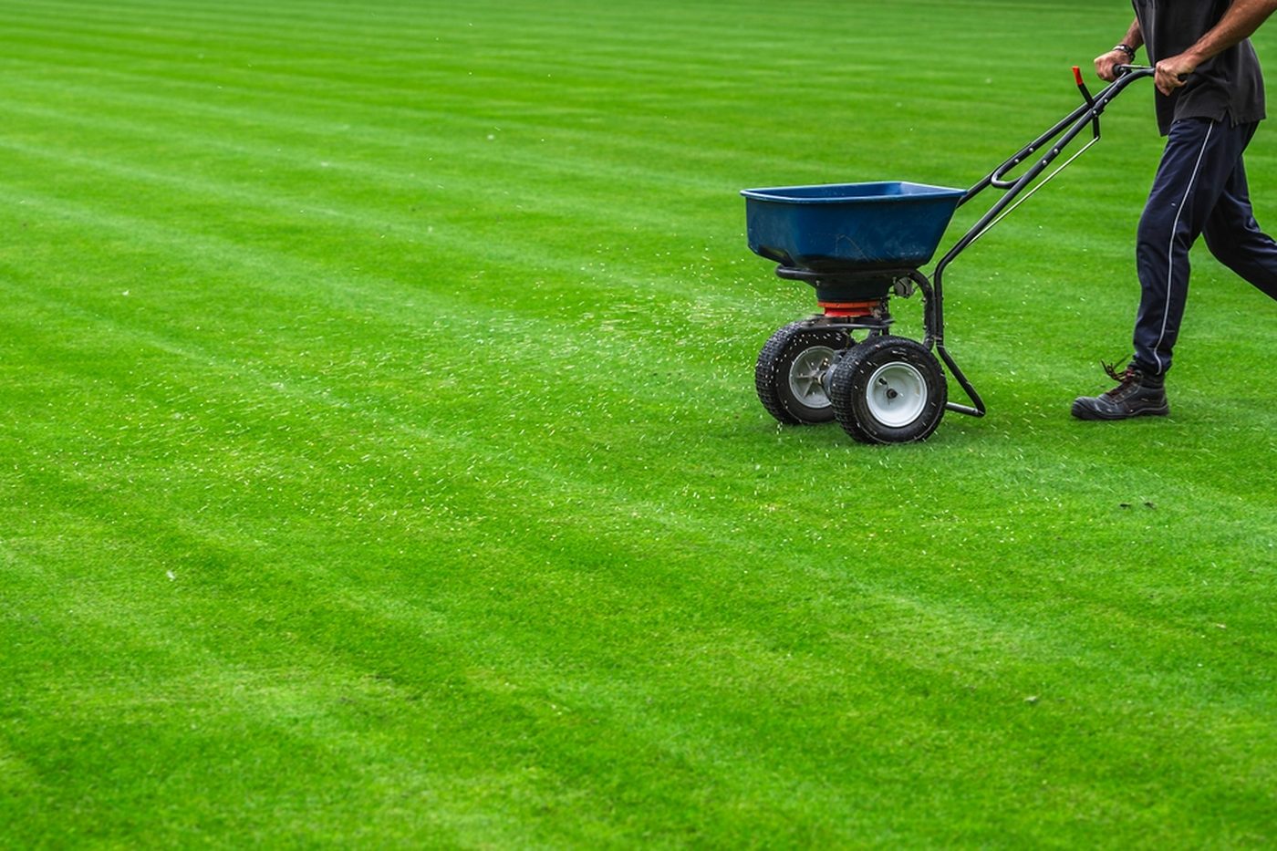 Plowz & Mowz Lawn Care Service