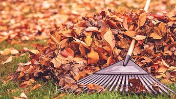 property management yard clean up services near me