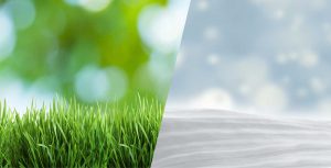 plowz-mowz-background