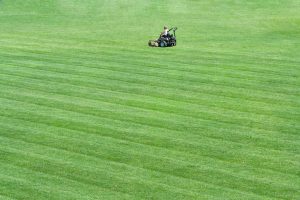 Man mowing large yard