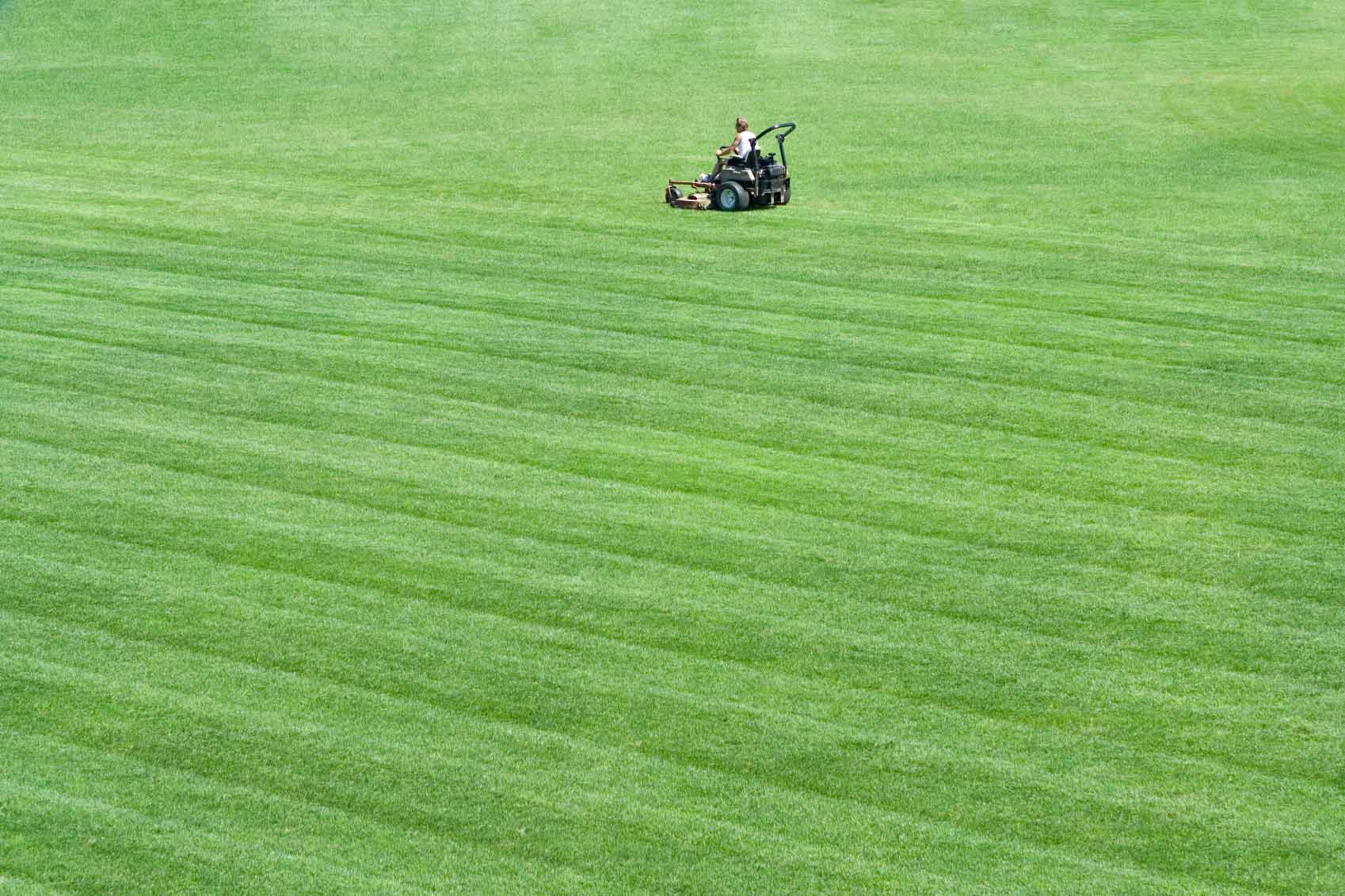landscaping blog article from the best on demand landscaping service