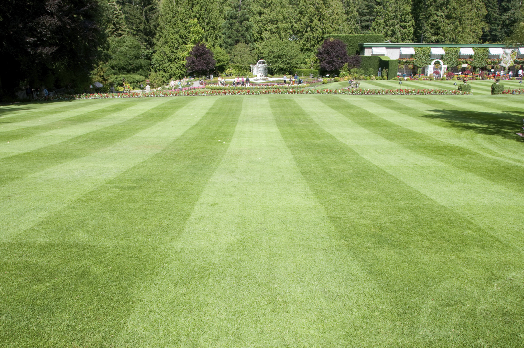 landscaping blog article from the best on demand landscaping service