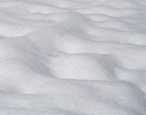Snow covered yard