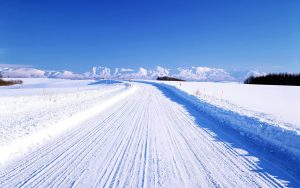 Snowplowed snowmobiling trail