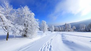 Snow covered road