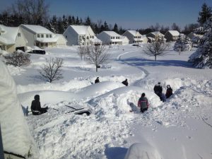Plowz-People-Helping-Buffalo