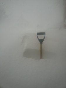 shoveling the snow covered driveway