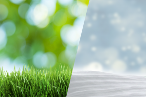 summer grass and witner snow covered yard