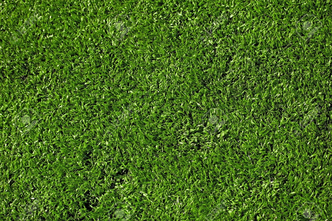 landscaping blog article from the best on demand landscaping service
