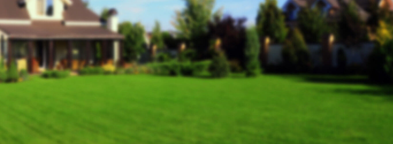 lawn care and lawn mowing