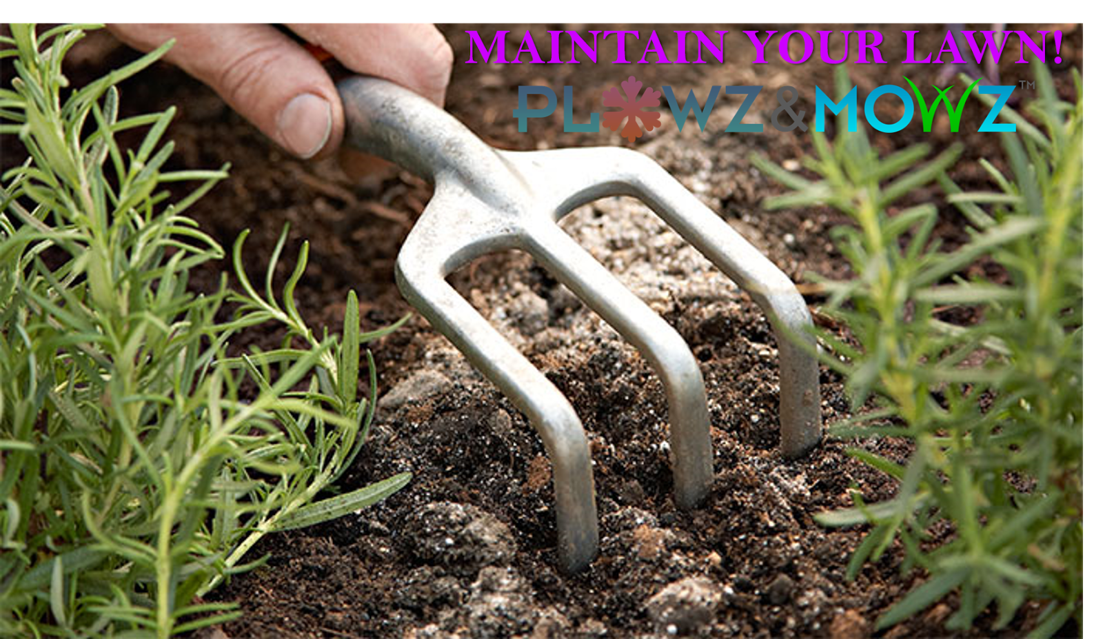 landscaping blog article from the best on demand landscaping service