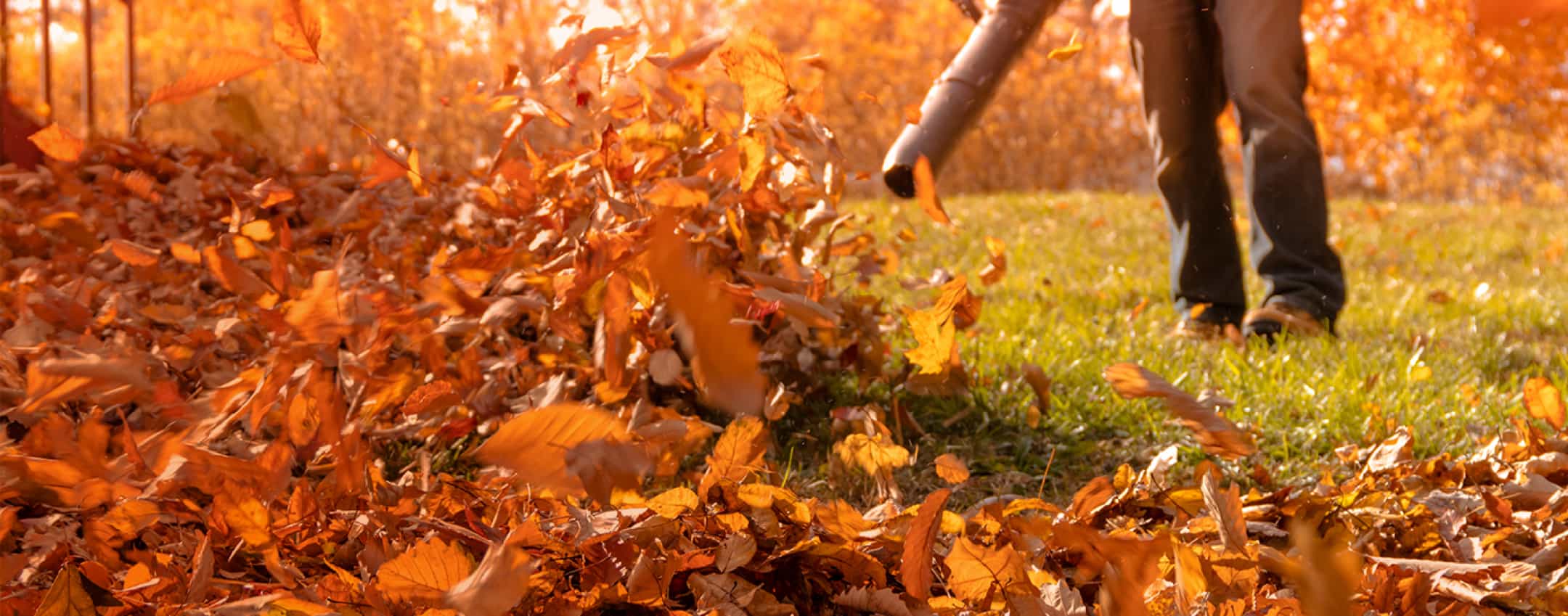 local lawn care and landscaping companies near my city