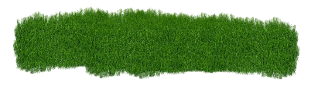 lawn aeration and overseeding