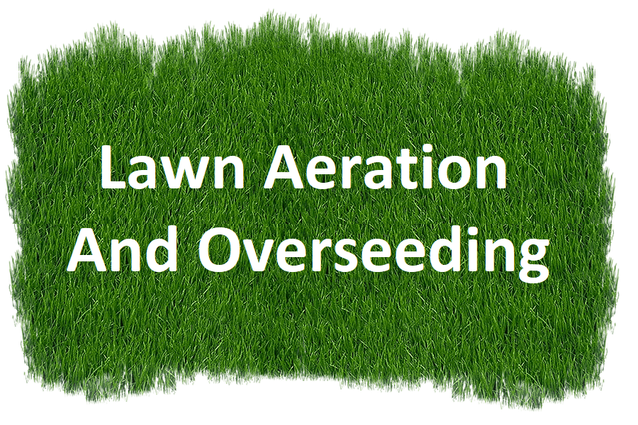 Commercial Lawn Care Services West Covina thumbnail