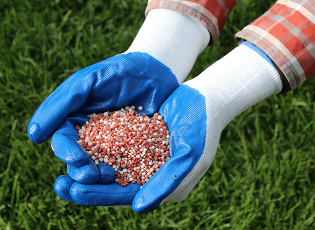 chemical grass fertilizer for your lawn