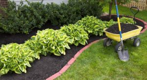 looking for mulch delivery and installation services near you?