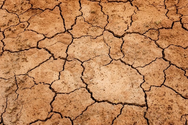 Dry, cracked earth during a drought.