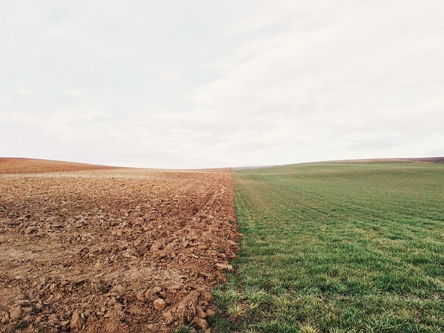 A field that has half dry earth and half green grass.