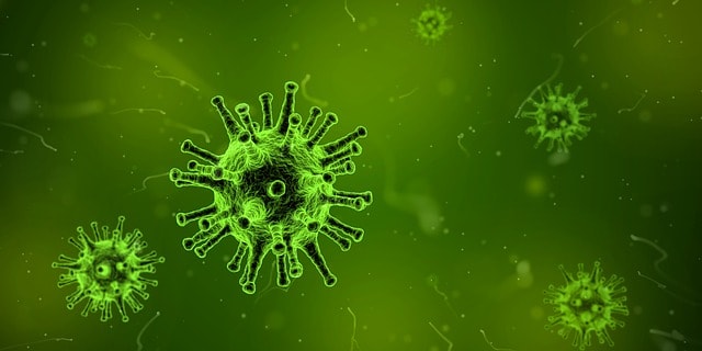 A green-hued, microscopic view of a virus.
