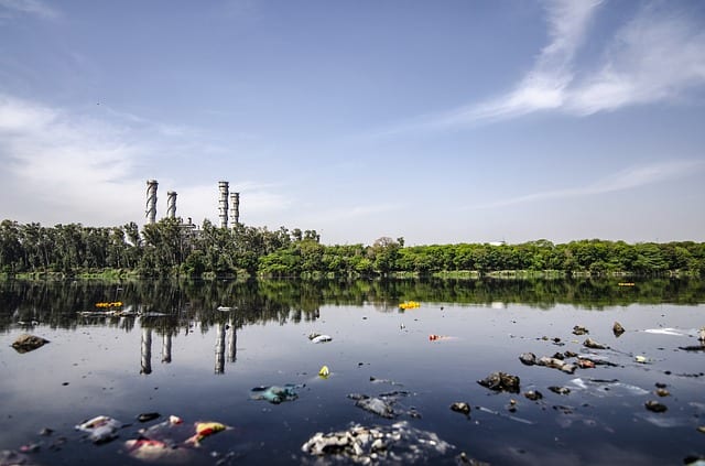 A still, contaminated lake in front of a tree line and smokestacks.