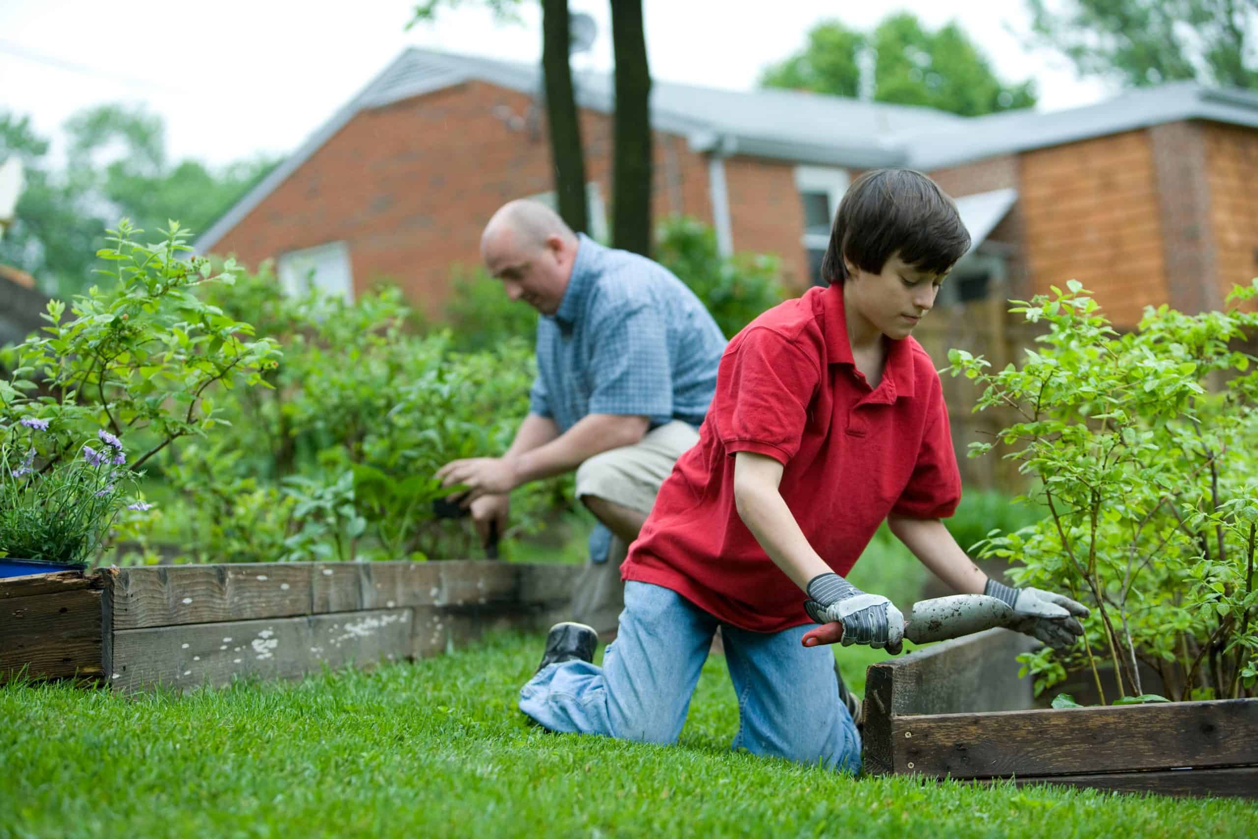 landscaping blog article from the best on demand landscaping service