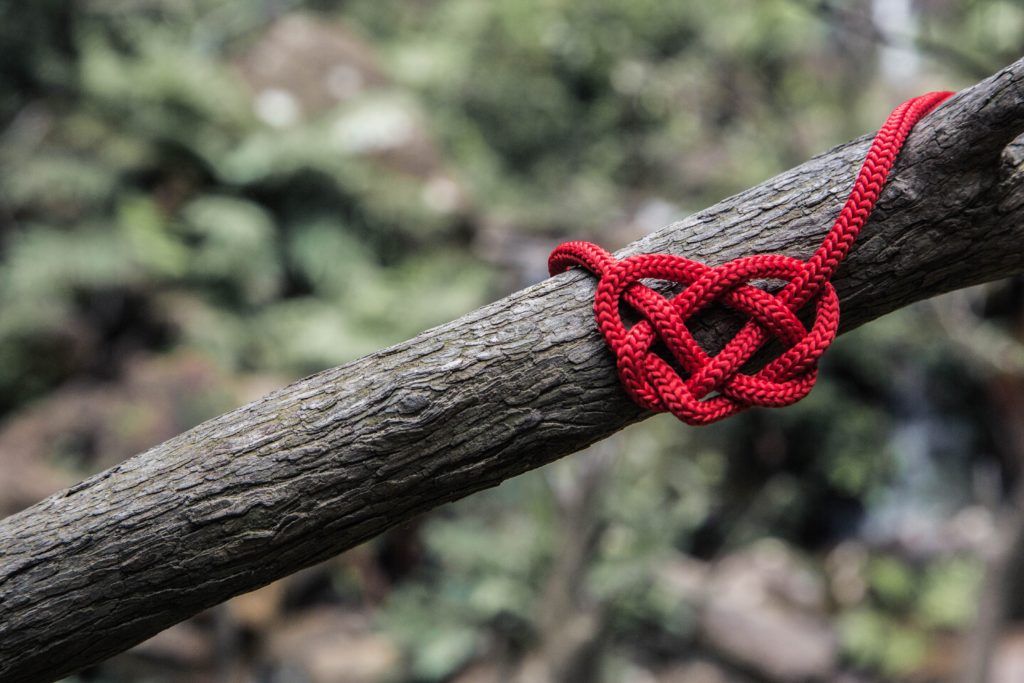 A red rope shaped into a heart on a branch outdoors for valentines Day
