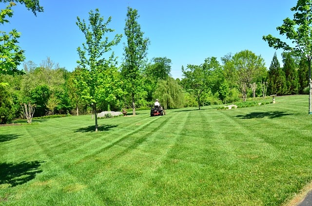 man on lawn mower over freshly mowed grass