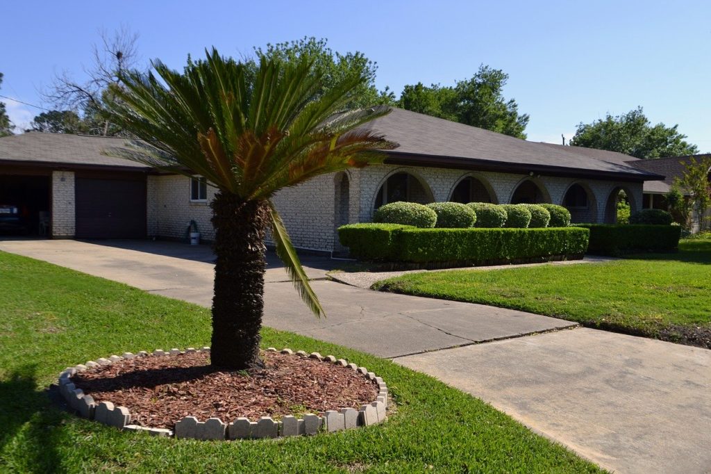 Landscaped front yard of home