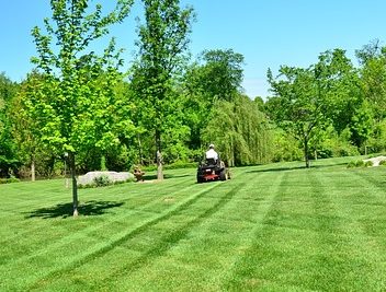 landscaping companies in your area