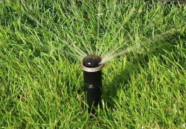 local sprinkler blowout services