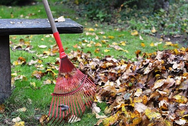landscaping blog article from the best on demand landscaping service