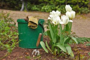 Gardening Tips For 2 Hour Jobs