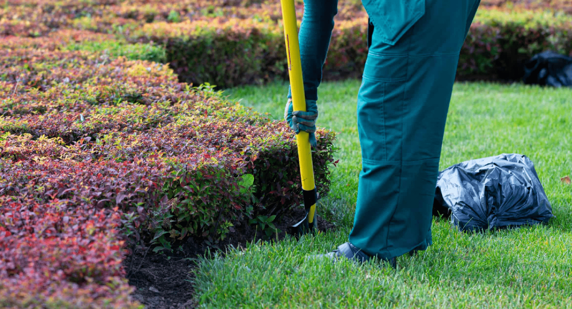 landscaping companies in your area