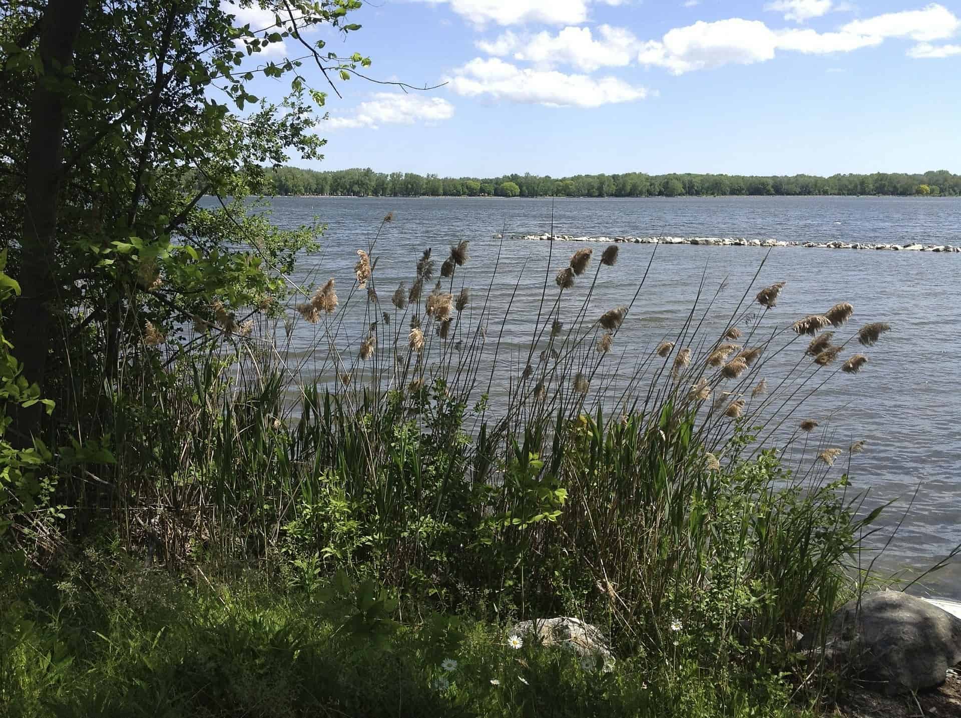 Best Day Hikes Near Syracuse NY PLOWZ And MOWZ