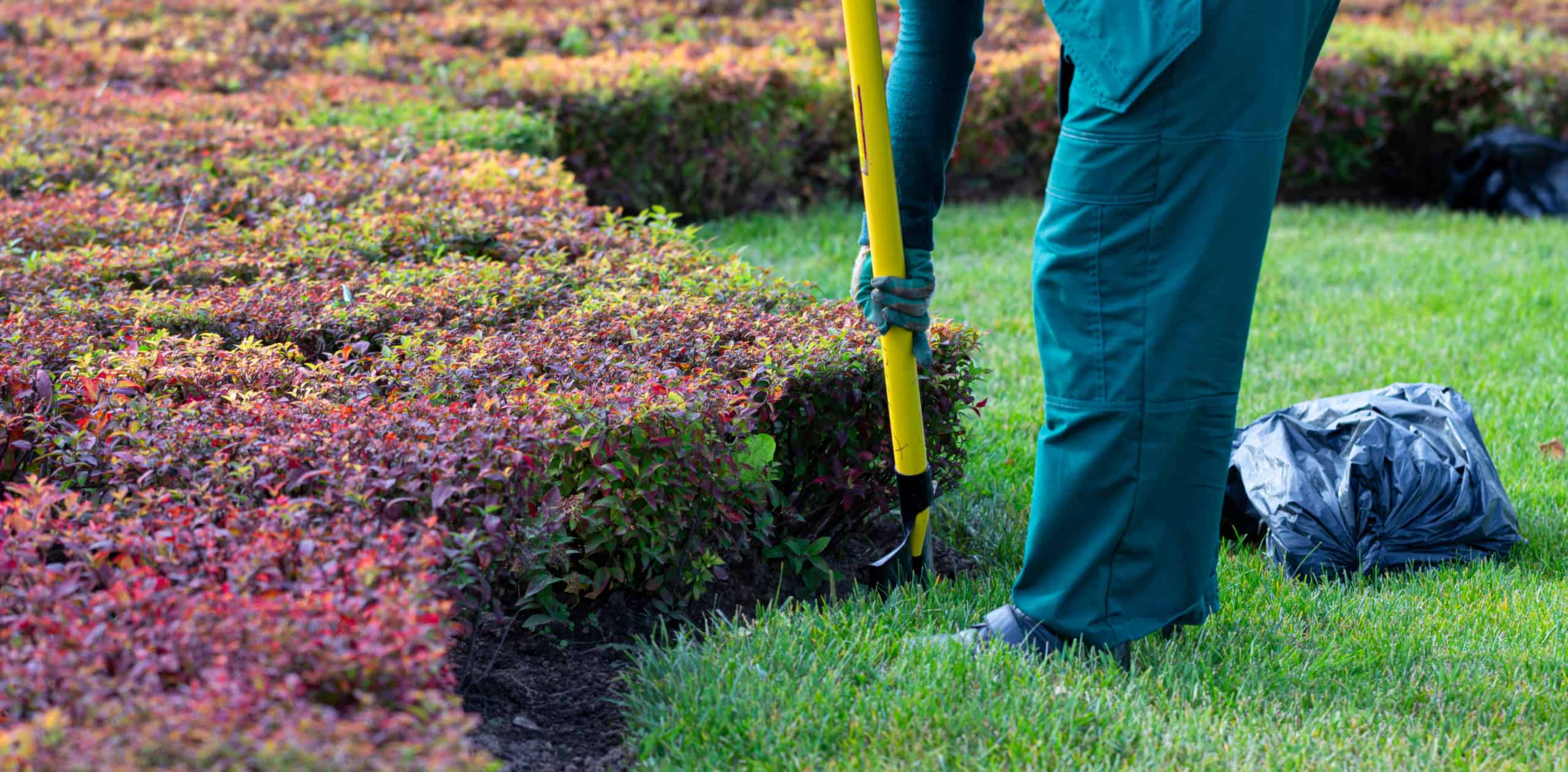 landscaping companies in your area