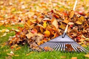 benefits of raking leaves