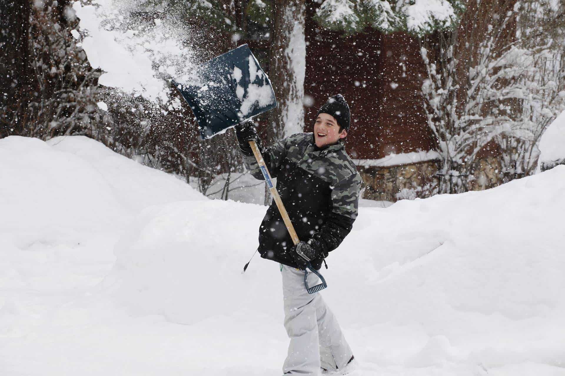 landscaping blog article from the best on demand landscaping service