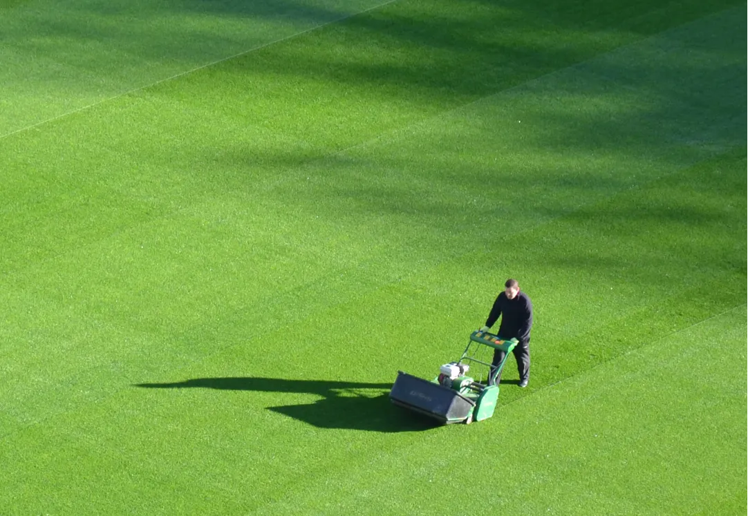 landscaping blog article from the best on demand landscaping service