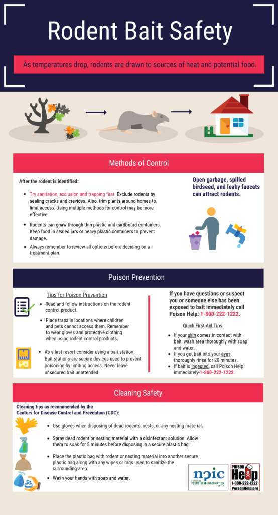 rodent bait and pesticide infographic