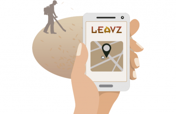 leavz leaf removal near me